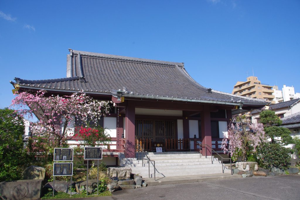 光照寺の本堂と桜（新宿区袋町）