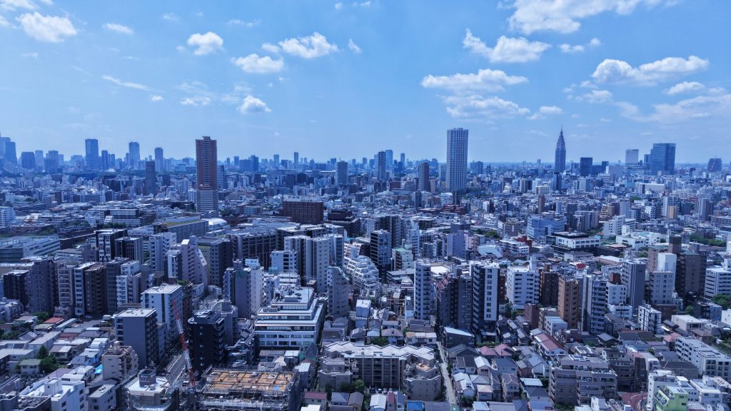墓苑上空から望む新宿の街並み